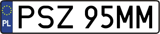 PSZ95MM