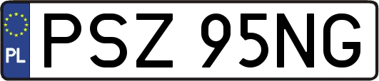 PSZ95NG