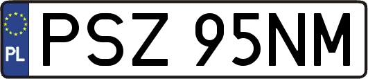 PSZ95NM