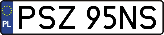 PSZ95NS