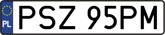 PSZ95PM