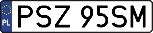 PSZ95SM