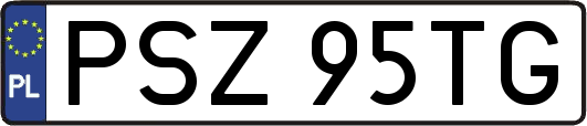 PSZ95TG