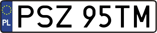 PSZ95TM
