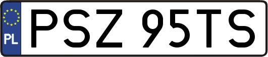 PSZ95TS