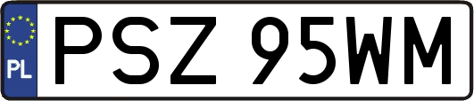 PSZ95WM
