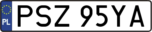 PSZ95YA