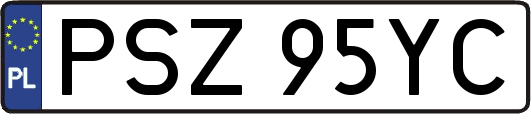 PSZ95YC