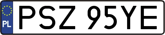 PSZ95YE