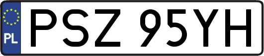 PSZ95YH