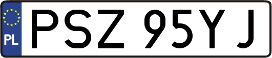 PSZ95YJ