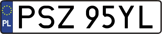 PSZ95YL