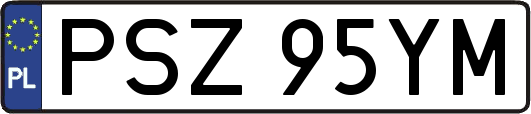 PSZ95YM