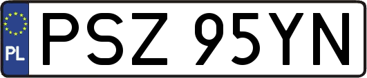 PSZ95YN
