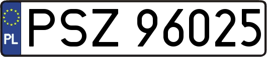 PSZ96025