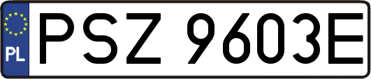 PSZ9603E