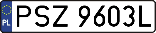 PSZ9603L