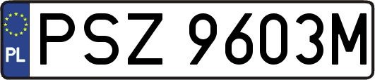 PSZ9603M