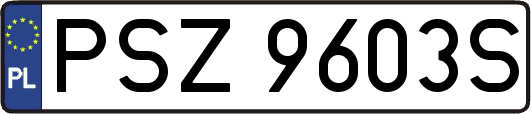 PSZ9603S