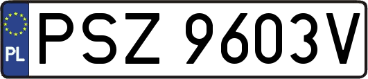 PSZ9603V