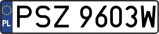 PSZ9603W