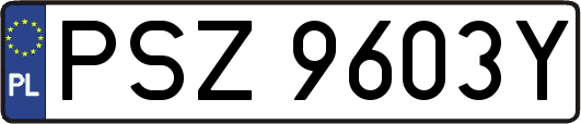 PSZ9603Y