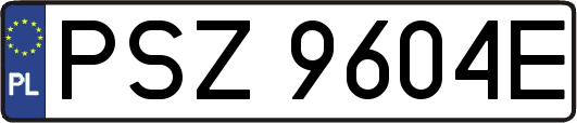 PSZ9604E