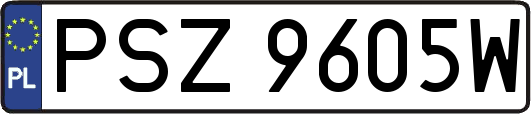 PSZ9605W