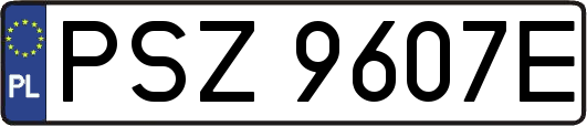PSZ9607E
