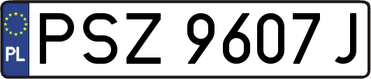 PSZ9607J
