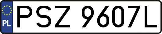 PSZ9607L