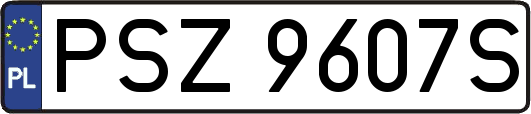PSZ9607S