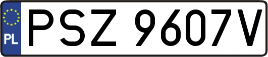PSZ9607V