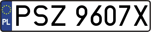 PSZ9607X