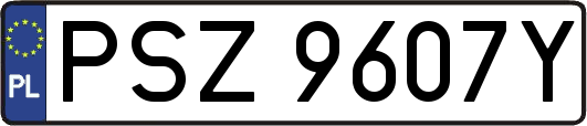 PSZ9607Y