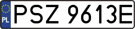 PSZ9613E
