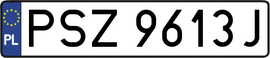 PSZ9613J