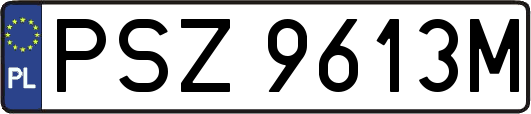 PSZ9613M