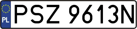 PSZ9613N