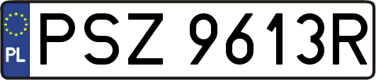 PSZ9613R