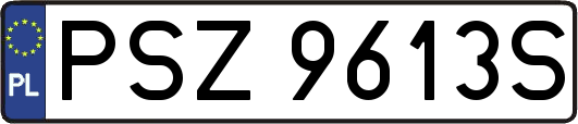 PSZ9613S