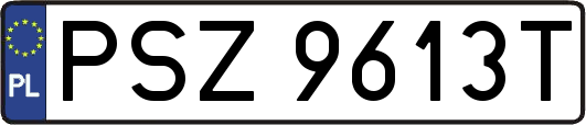 PSZ9613T