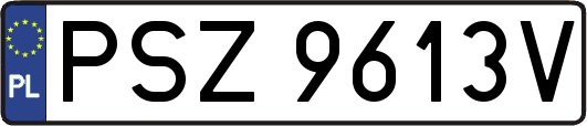 PSZ9613V