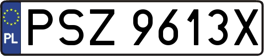 PSZ9613X