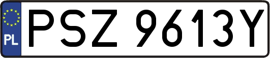 PSZ9613Y
