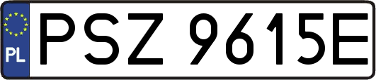 PSZ9615E