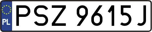 PSZ9615J