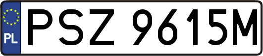 PSZ9615M