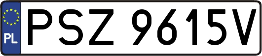 PSZ9615V