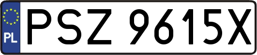 PSZ9615X